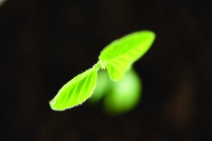 技术深度解析：原理与应用